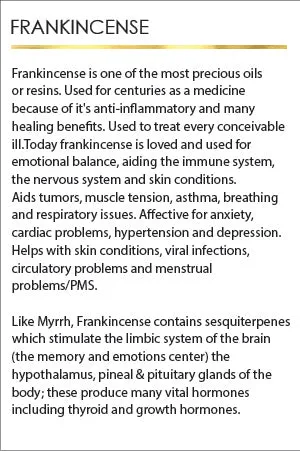 Frankincense Hojari Resin Incense Sticks
