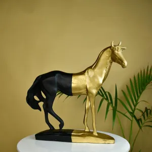 Mayii Black Gold Stallion