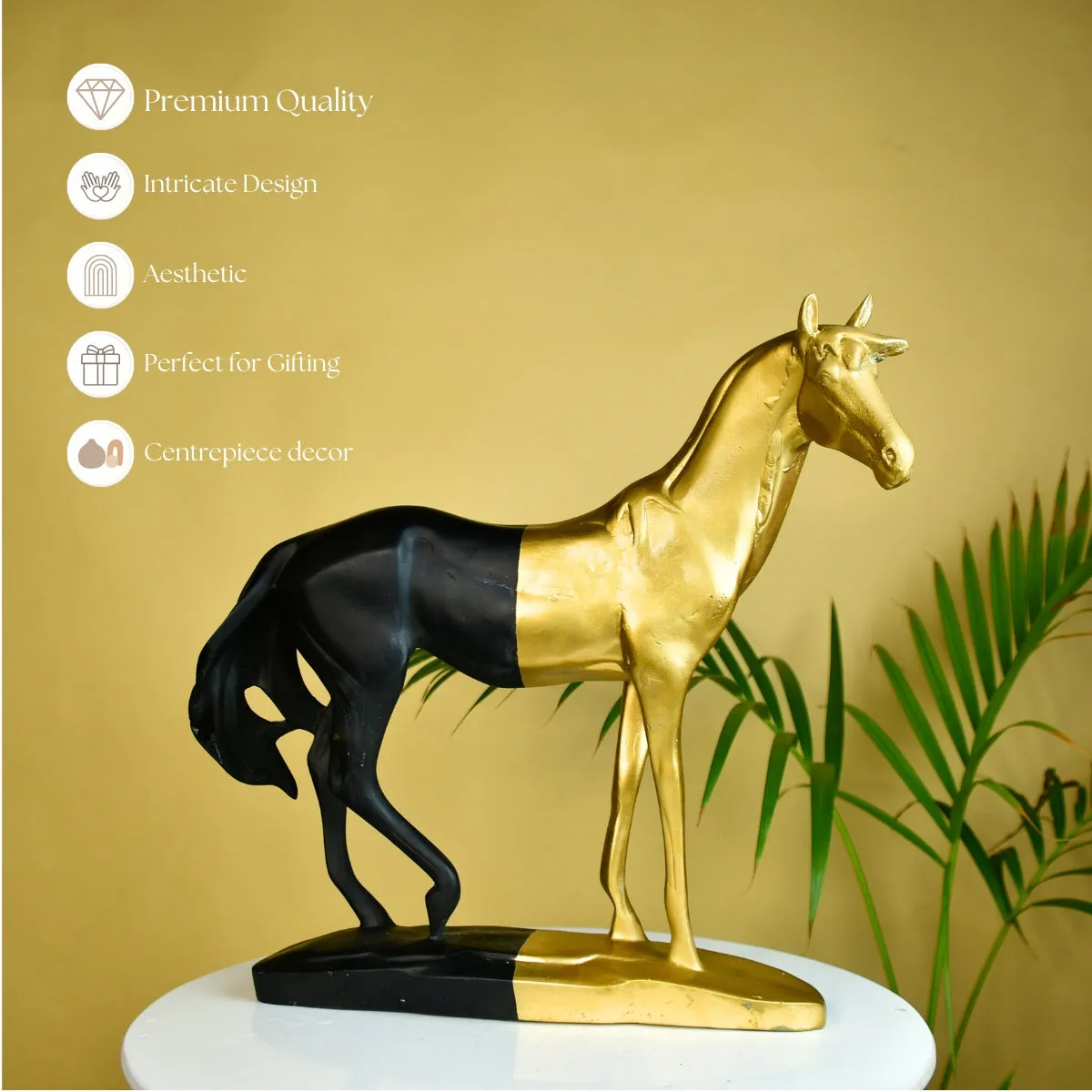Mayii Black Gold Stallion