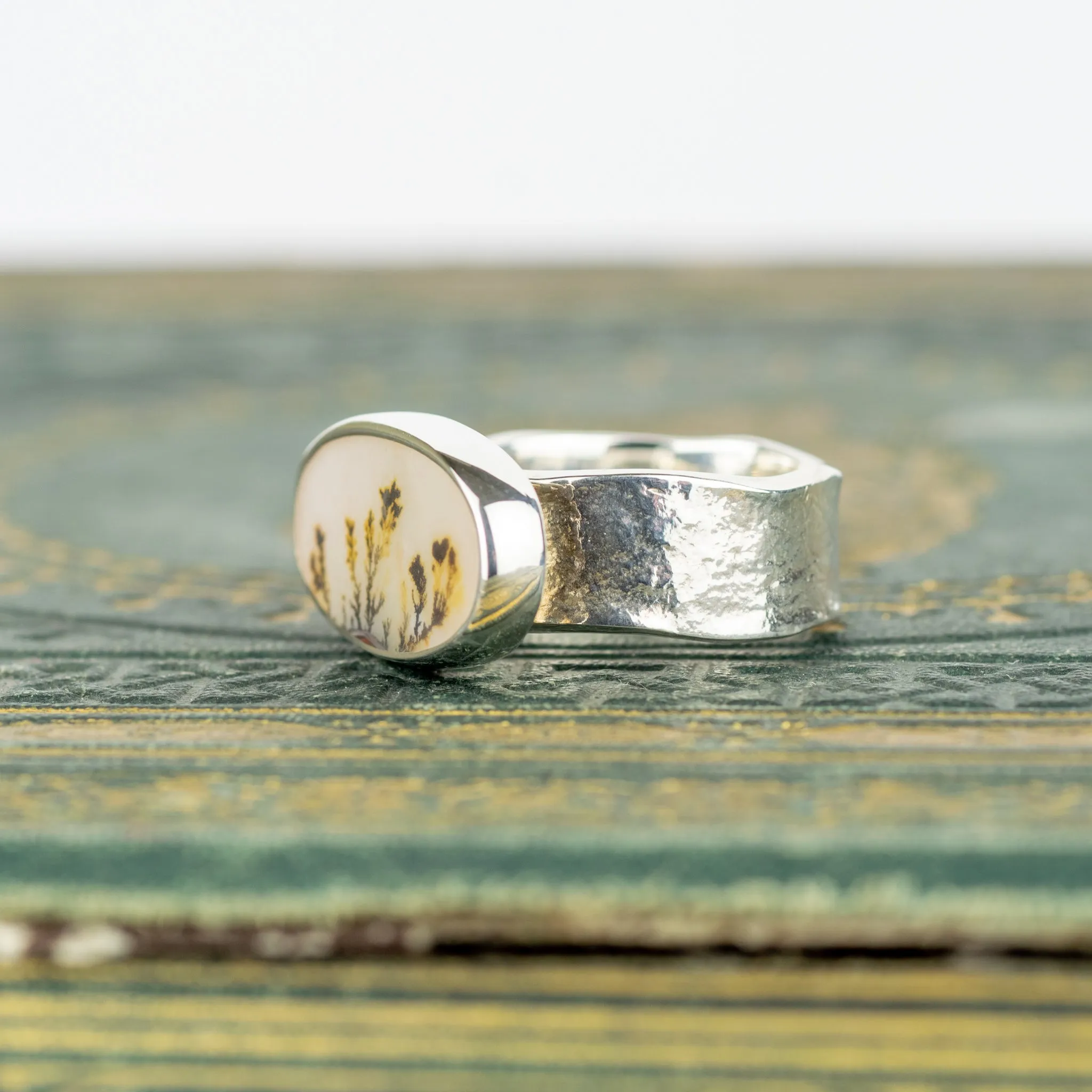 No.251 - Silver Oval Dendritic Agate Ring - Size T