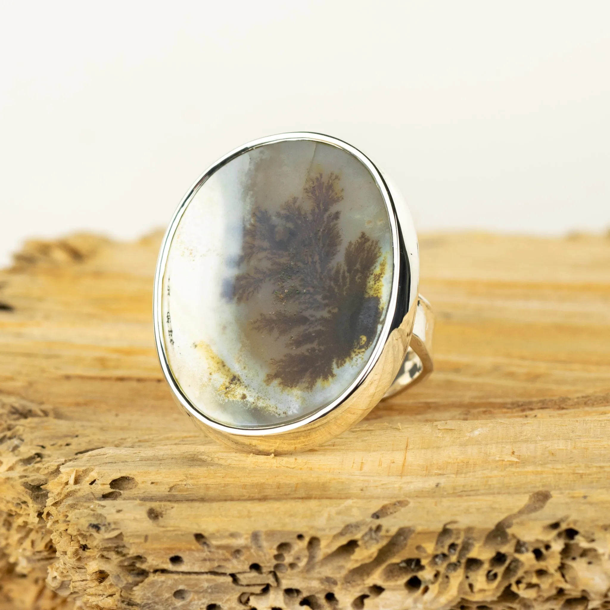 No.329 - Silver Dendritic Agate Ring - Size O