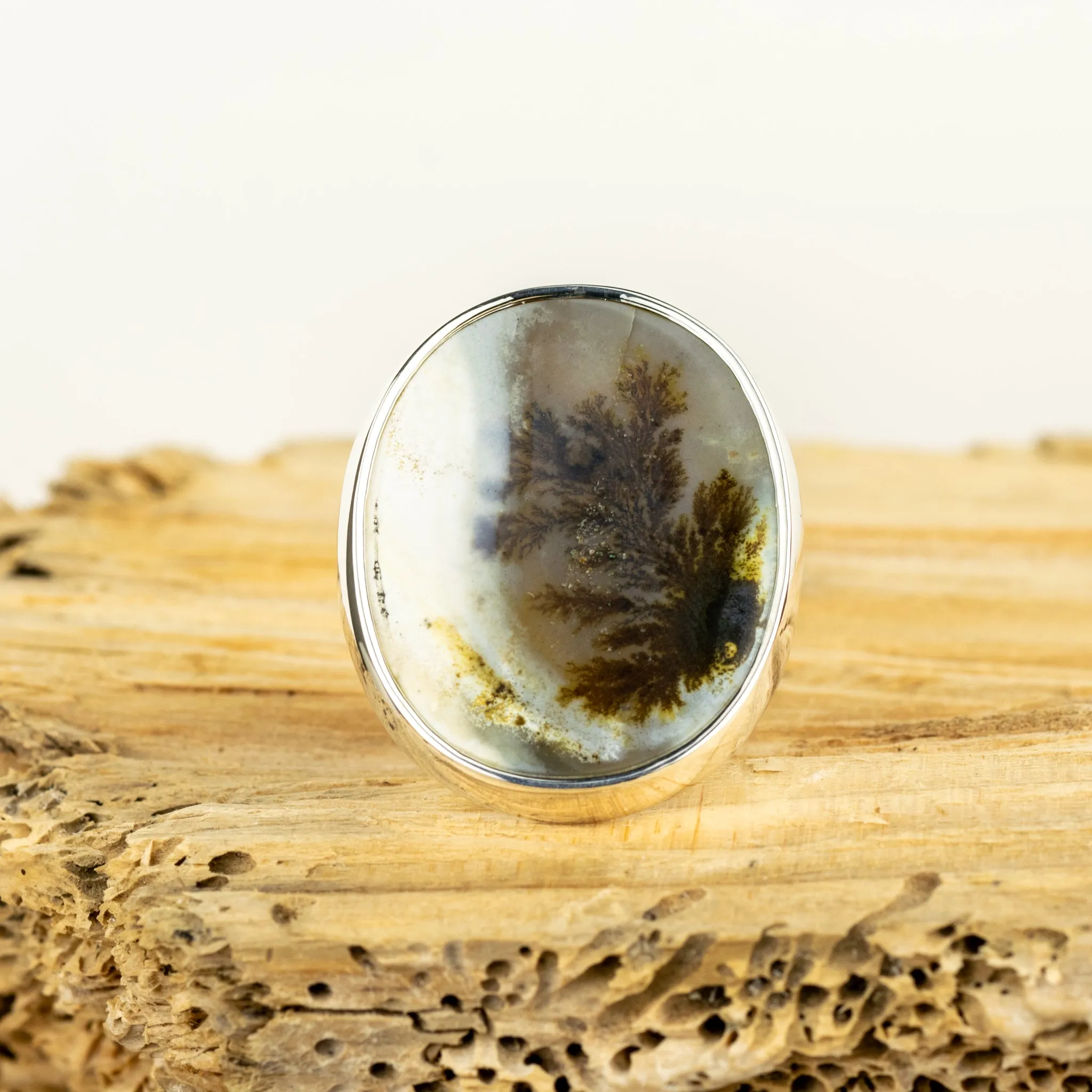 No.329 - Silver Dendritic Agate Ring - Size O