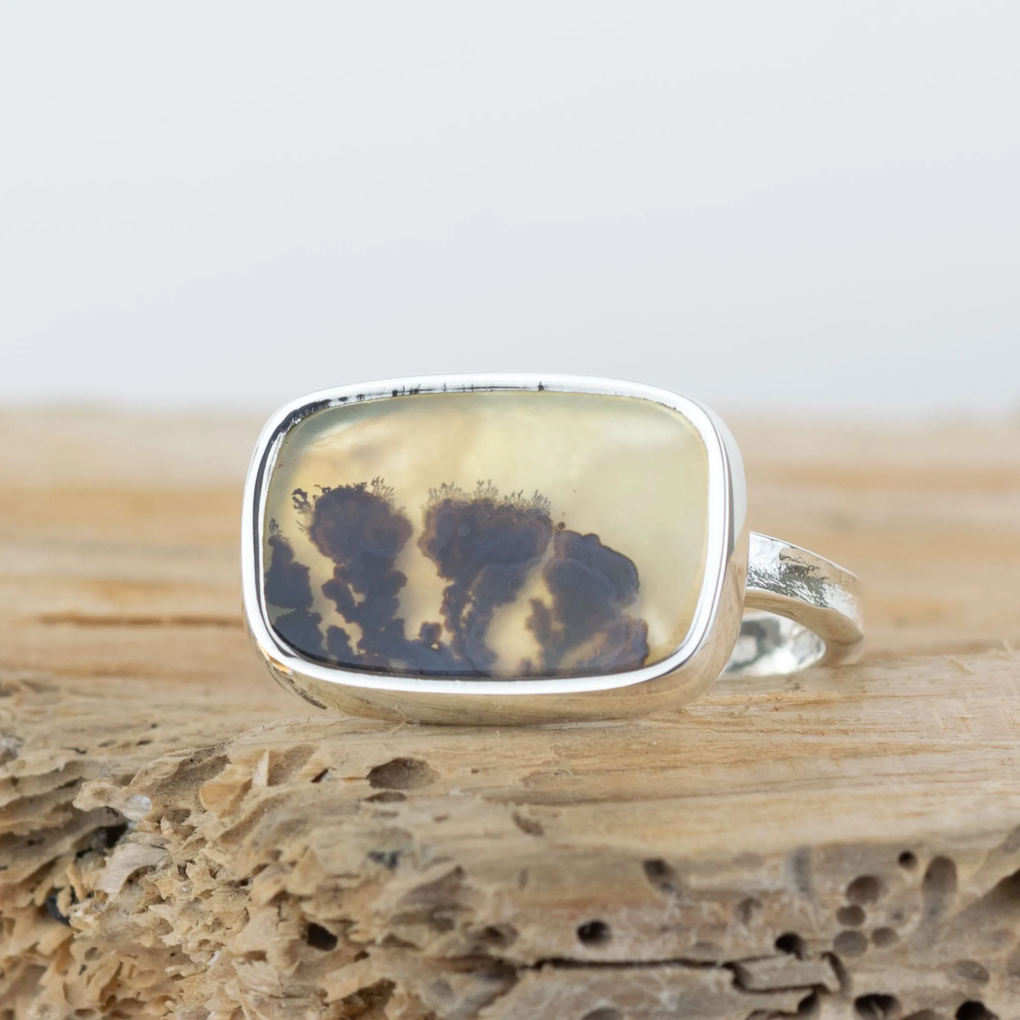No.714 - Silver Dendritic Agate Ring - Size O