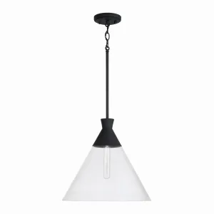 Paloma 1-Light Pendant